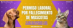 Permiso laboral por fallecimiento de mascotas
