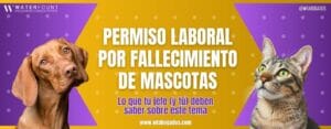 Permiso laboral por fallecimiento de mascotas